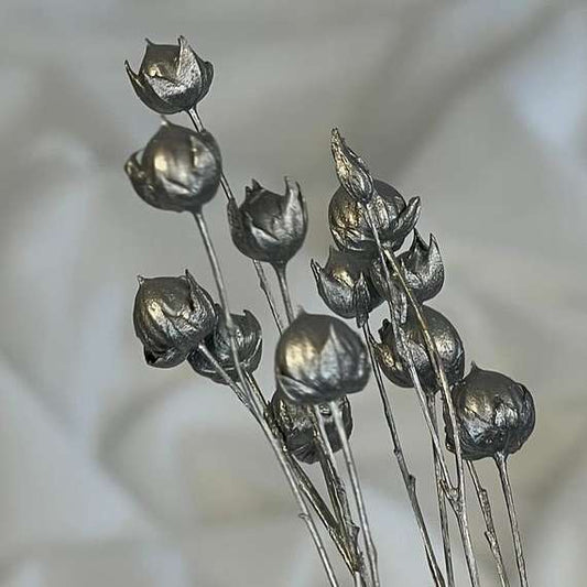 Evighedsblomst - Rosary Pea (Sølv)
